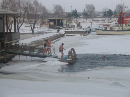 kotka2