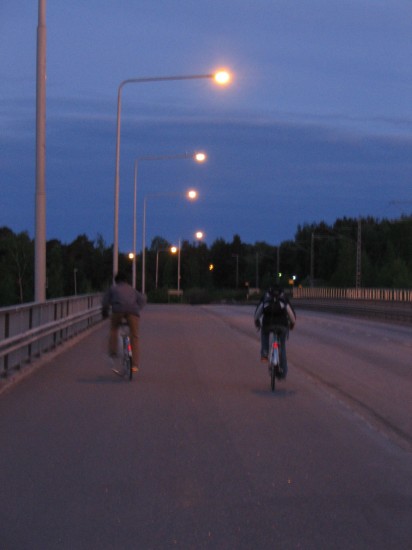 kotka3