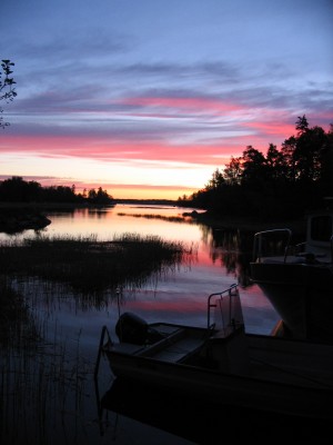 kotka4