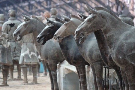 army_horse
