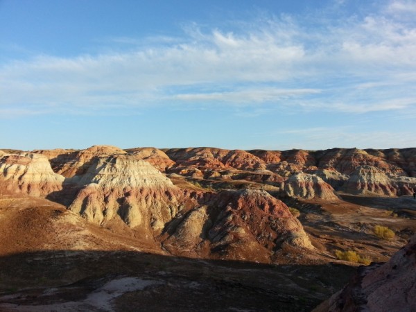 xinjiang (1)