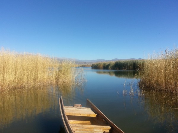 xinjiang (4)